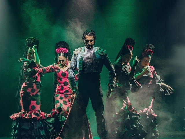 Olé Flamenco Show