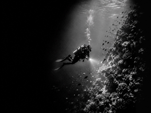 Buceo