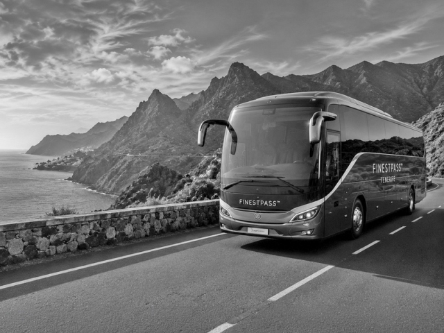 Excursiones guiadas en autobús